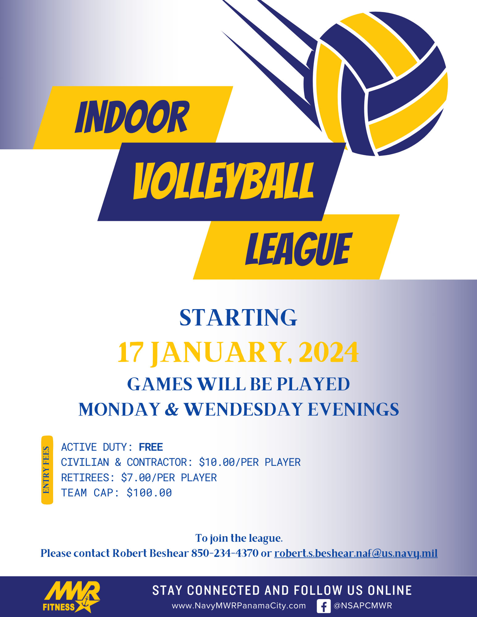 Volleyball.png