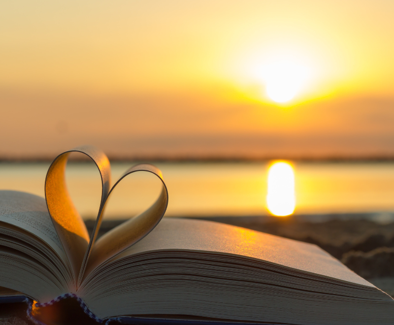 February Newsletter Header_800x600px.png