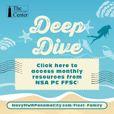 NSA PC FFSC News Promo-1-400x400.png